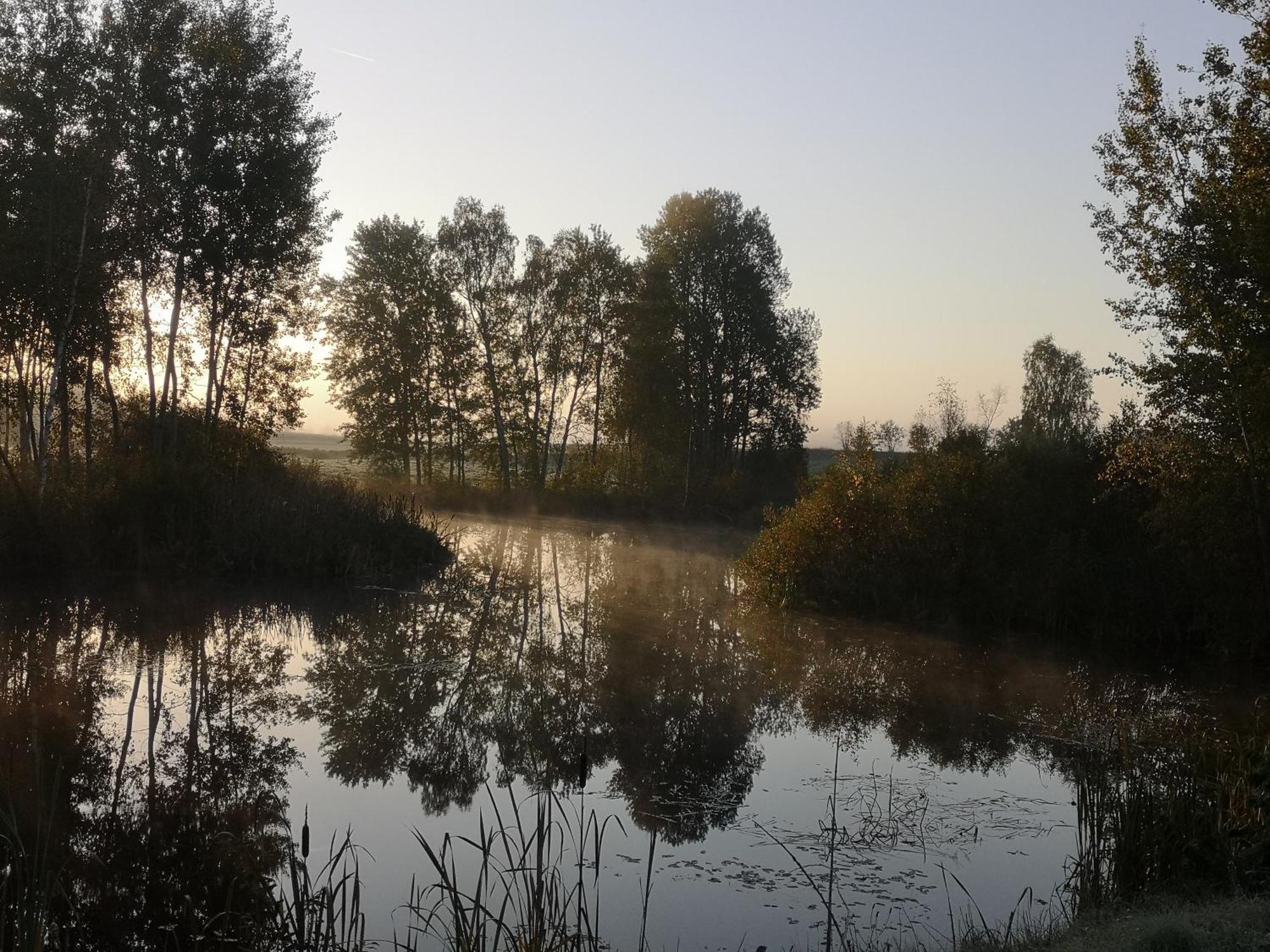 Вилла Borowy Zakatek Stara Kiszewa Экстерьер фото